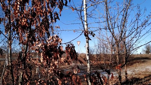 5 декабря-ПРОКОПЬЕВ ДЕНЬ.Основные правила дня.Что нельзя делать.Народные приметы