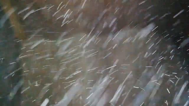 Чем нужно кормить свиней. Как кормить свиней в домашних условиях. Корм для свиней.