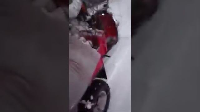 за дровами на муравье часть2 #деревня #муравей #зима