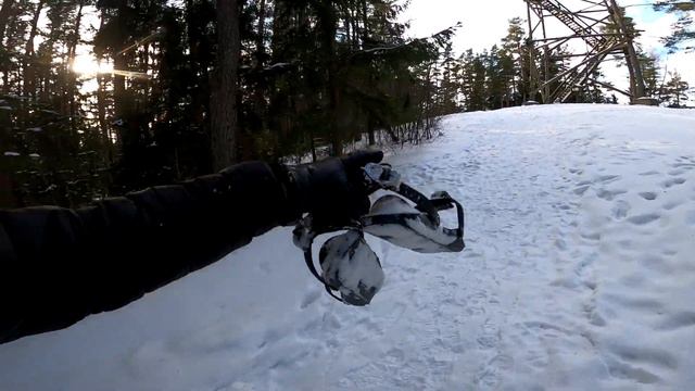 На мини лыжах зимой по лесу (snowfeet)