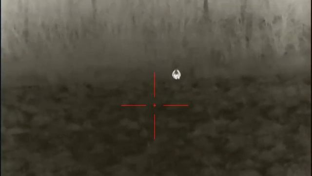 Охота на кабана с тепловизионным прицелом iray saim sch 50. (подборка видео с животными)