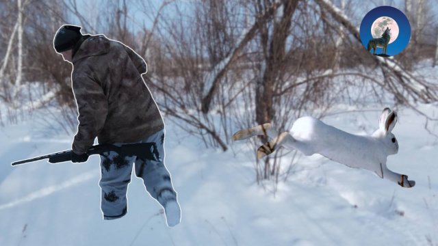 ГДЕ ПРЯЧЕТСЯ ЗАЯЦ?