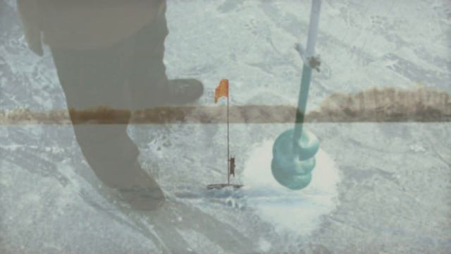 Ловля окуня зимой. Как и где ловить окуня зимой?