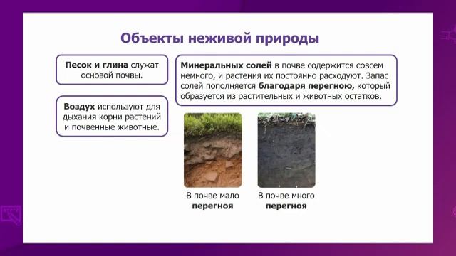 География. 7 класс. Почва, их состав и структура /20.01.2021/