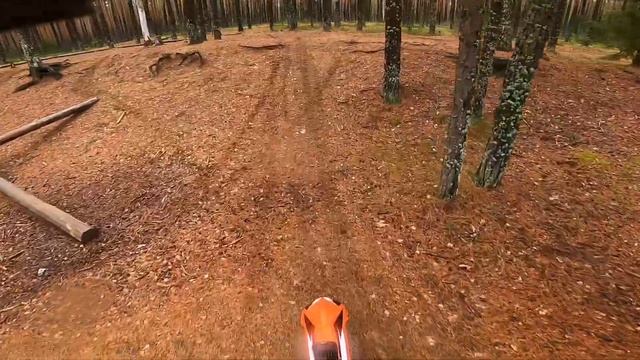 Покатушка в лес на эндуро