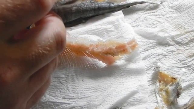 Хариус вяленый. Способ приготовления с домашних условиях.