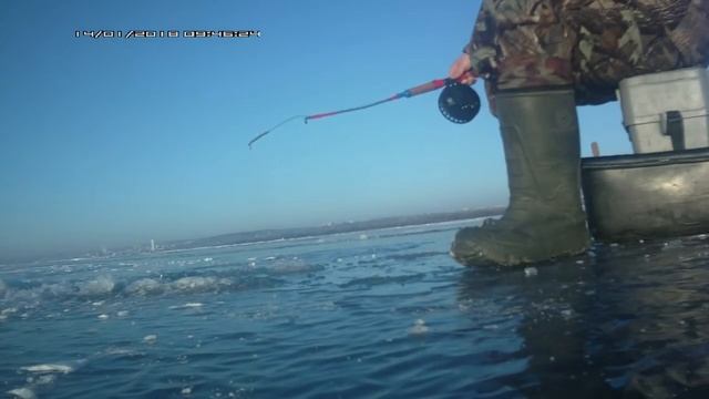 Ловля судака зимой, на мормышку с мальком 14.01.2018 Саратов.