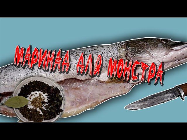 Щука холодного копчения Маринад для монстра