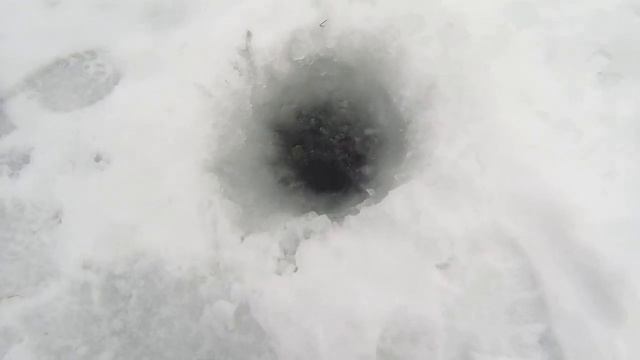 ЗИМНЯЯ рыбалка на ДОНУ 2022г!ДОНКИ(поставухи) зимой!