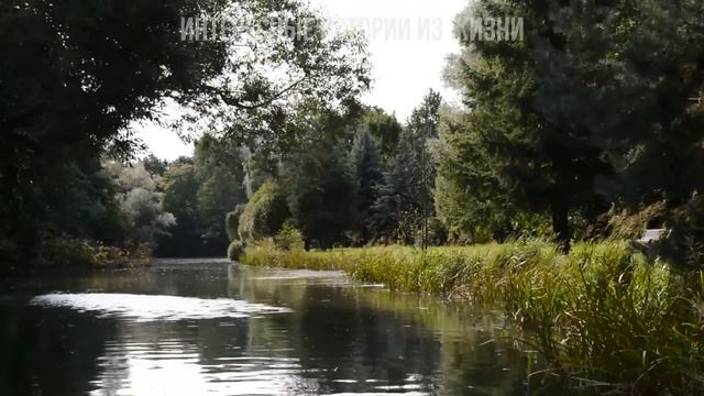 ПОД ХАЛАТИКОМ ЖЕНЫ БЫЛО ЛИПКО. Жизненные истории и аудио рассказы, неверная жена
