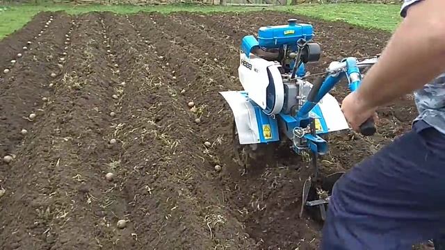 Мотоблок Нева МБ-2 огородные работы,посев картофеля
