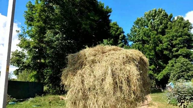✅Вот как нужно возить сено на мотоблоке мтз