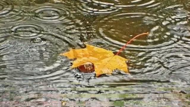 Green Grey - Осень