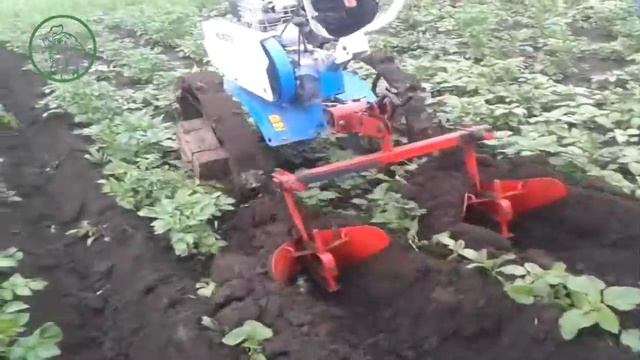Окучивание картофеля мотоблоком Нева мб 23