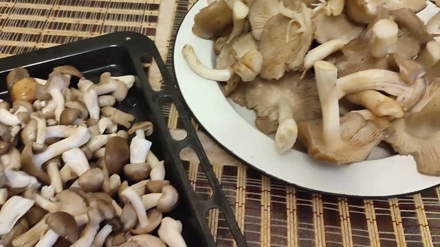 Мариную грибы: РЯДОВКА серая и КОРОВНИКИ. Классная дача. Костанай.