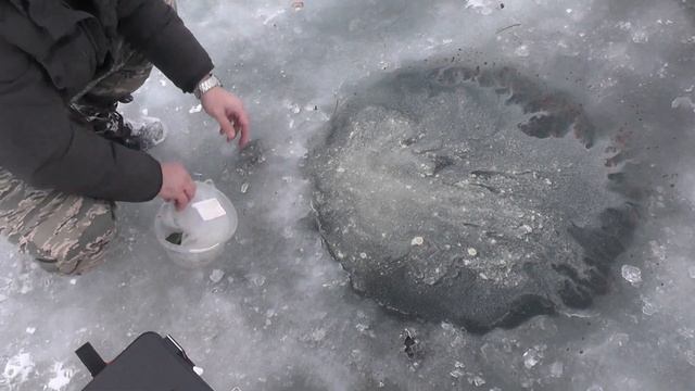 Рыбалка на оз  Чередовом. Омск.