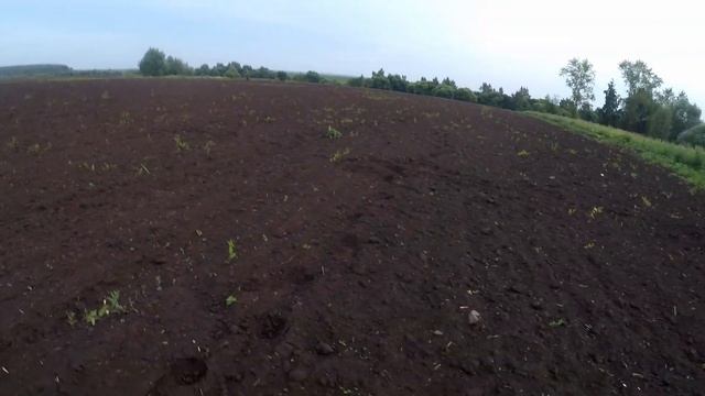 Урочище на поле! Настройки АКА сигнум.