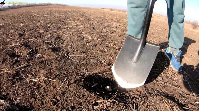 БЫКИ ОТЖАЛИ МОЙ МЕТАЛЛОИСКАТЕЛЬ НА КОПЕ В КРЫМУ / КОП МОНЕТ С EQUINOX 800 / ОПАСНЫЙ КОП МОНЕТ 4К