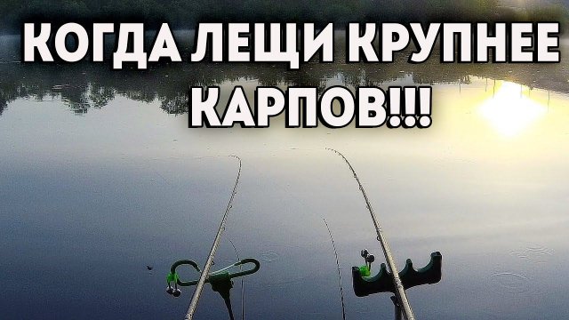 Нервным лучше не смотреть.МОЩНЫЕ ПОКЛЕВКИ ЛЕЩА. Рыбалка на фидер.