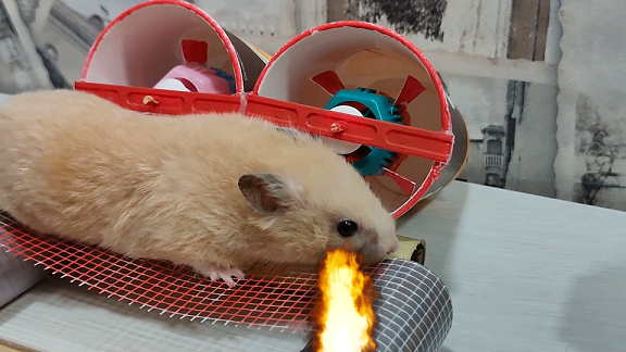 Хомяк проходит испытания в вентиляционной шахте