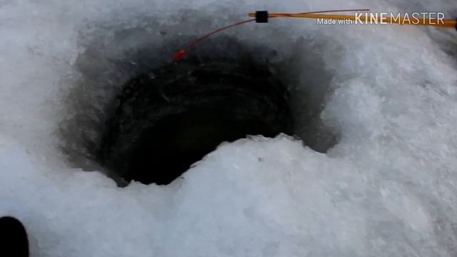 Рыбалка на Зее. Рыбалка в Благовещенске. Рыбалка на Чебака и Пескаря.