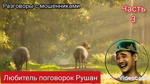 Любитель поговорок Рушан против мошенников
