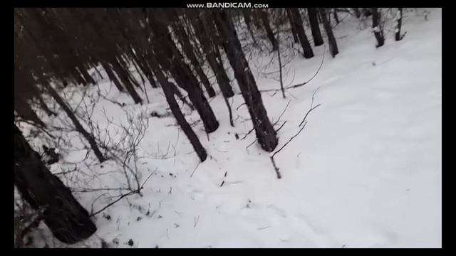 Как поставить петли на зайца ,часть 1-2