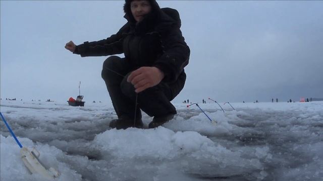 Корюшка под Сестрорецком!Финский залив!