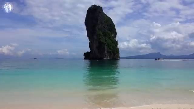 Джо Диспенза. Квантовая модель реальности. Как мысли воздействуют на нашу жизнь.