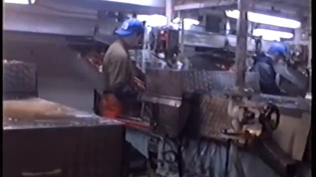 Производство крабовых консервов на плавбазе Всеволод Сибирцев