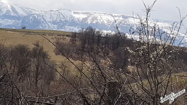 Седакъет Керимова. Къазанбулахда. Лезги фильм.