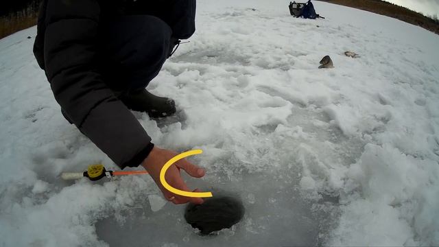 ЗИМНЯЯ РЫБАЛКА 2022 КАРАСЬ В ГЛУХОЗИМЬЕ крупные караси зимой