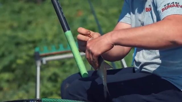 Маховая удочка. Ловля на стоячей воде в Подмосковье.