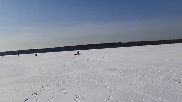 Рыбалка Плещеево озеро. 2020.Окунь Плотва (сорога)