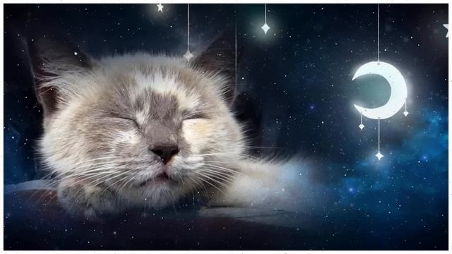 Расслабляющая колыбельная для кота и котенка ?? (со звуками кошачьего мурлыканья)