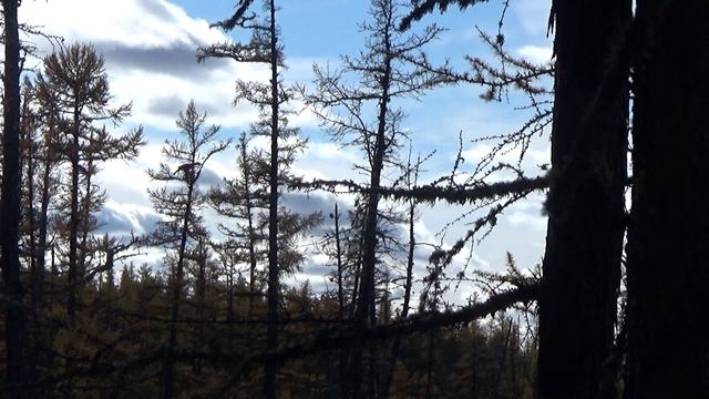 Проверка зимовий перед пушным промыслом 2