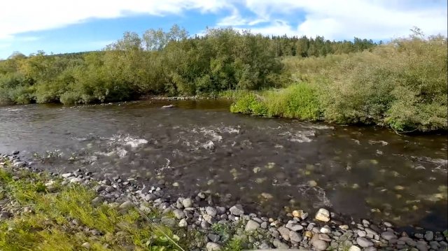 Поход за хариусом. Рыбалка на трёх реках. Часть 3.