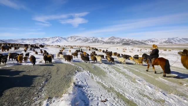 A2_U4_A different kind of journey_Great_Learners_Great_Thinkers_video