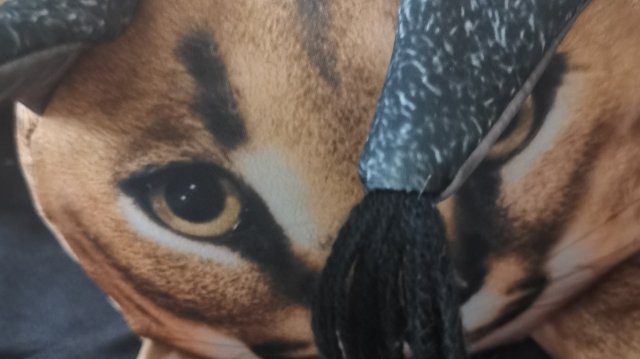 ШЛЕПА СПАСАЙСЯ!!!