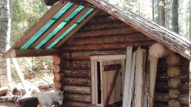 Строительство промысловой избы! Строительство продолжается! Часть третья...