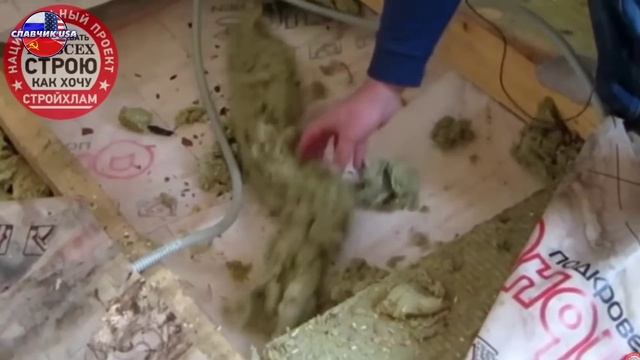 Крысы,мыши и полная безнадёга. Как я вляпался в американскую мечту