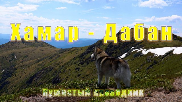 Поход на пик Босан с маламутом. Хамар-Дабан