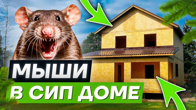 Мыши в СИП доме. МИФЫ про мышей в СИП домах