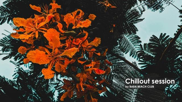 Chillout session | Salty sun edition #lounge