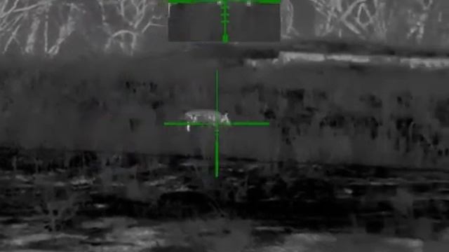 9. Охота на хищника в Ростовских степях. Карабин CZ557 .308win, прицел Guide TR430