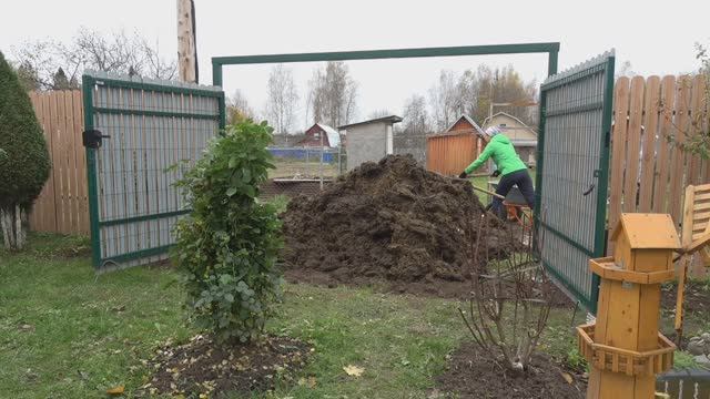 6 соток 12 октября 2024 года. Хроника.