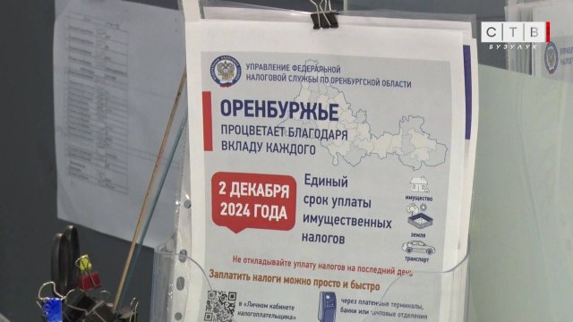 2 декабря истекает срок уплаты имущественных налогов