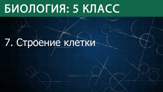 Биология 5 класс: Строение клетки