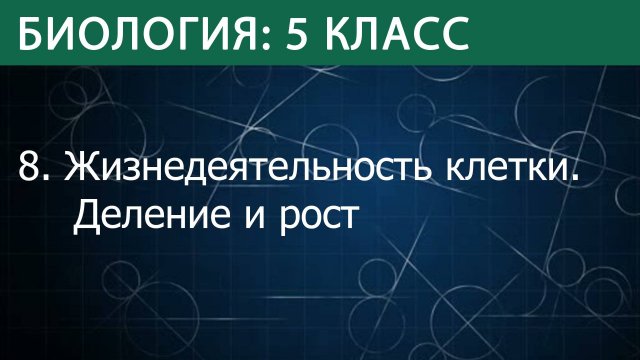 Биология 5 класс: Жизнедеятельность клетки, её деление и рост