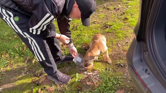 VLOG Алисе НЕ НРАВИТСЯ как я её ОДЕВАЮ / ОПРЫСКИВАТЕЛЬ ЖУК Эксперт для цветов